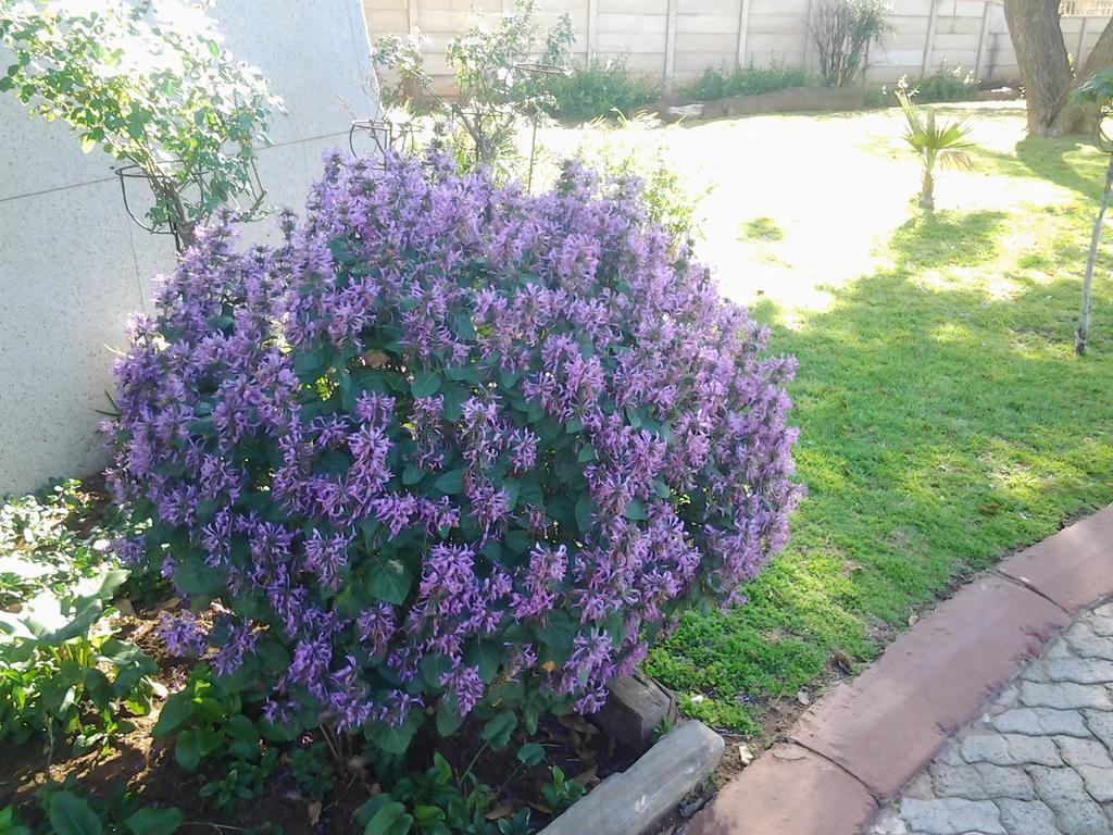 The Lighthouse Guesthouse Welkom Esterno foto